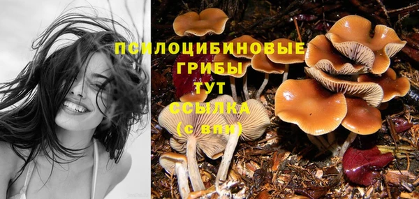 индика Остров